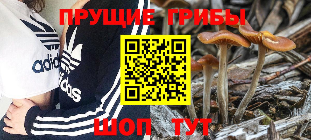 КОКАИН Зеленокумск