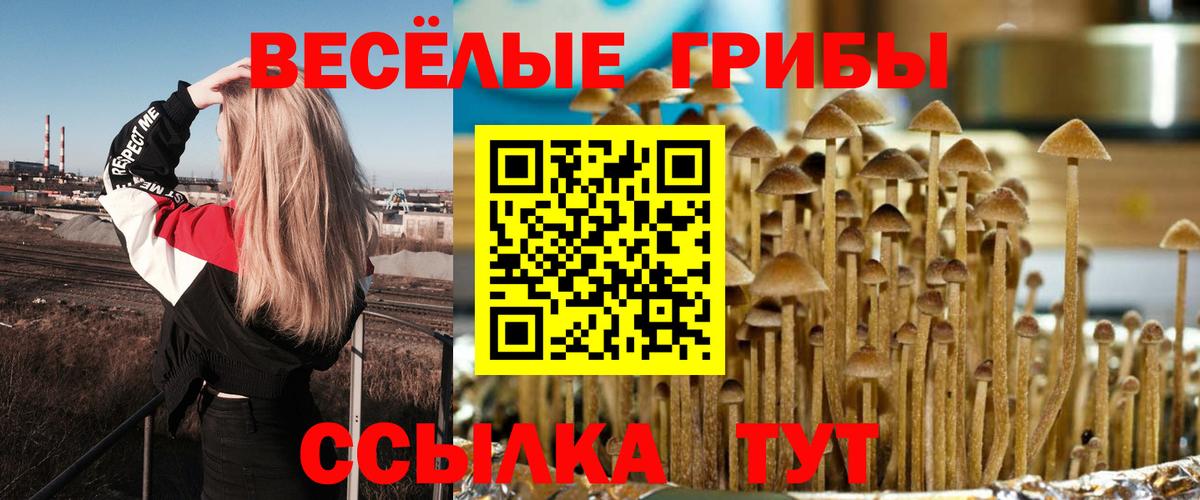 Зеленокумск  Галлюциногенные грибы Magic Shrooms  Вход с VPN 